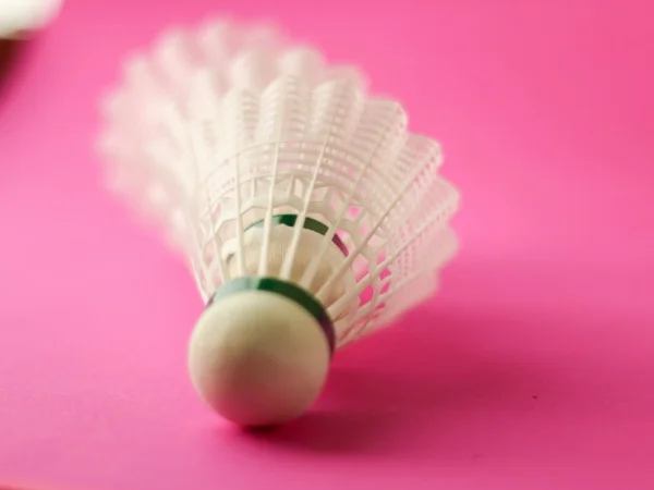 Shuttlecock